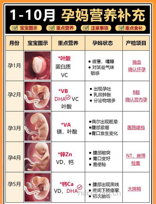 孕期要注意给胎儿补充DHA和EPA