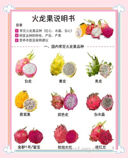 孕产妇必吃18种食物十四--火龙果