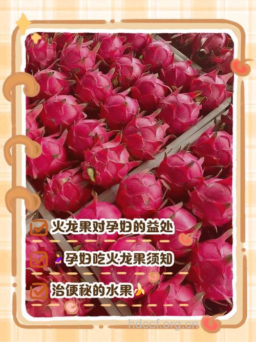 怀孕可以吃火龙果吗