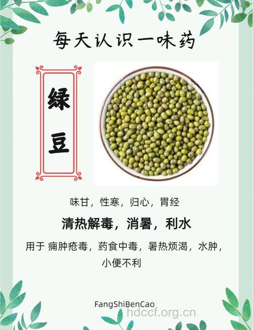 孕妇可以吃绿豆吗?
