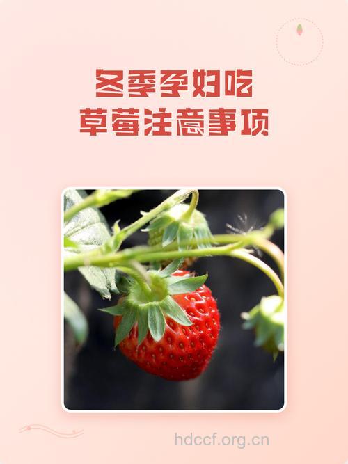 孕妇冬季吃水果注意事项