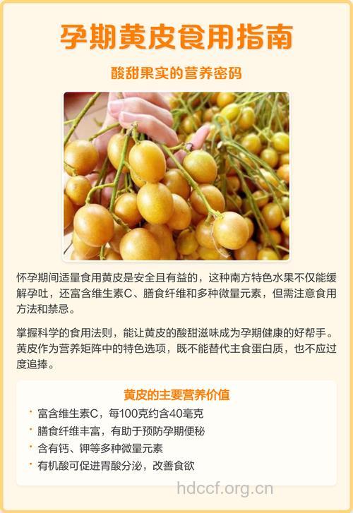 怀孕孕妇可以吃黄皮吗？