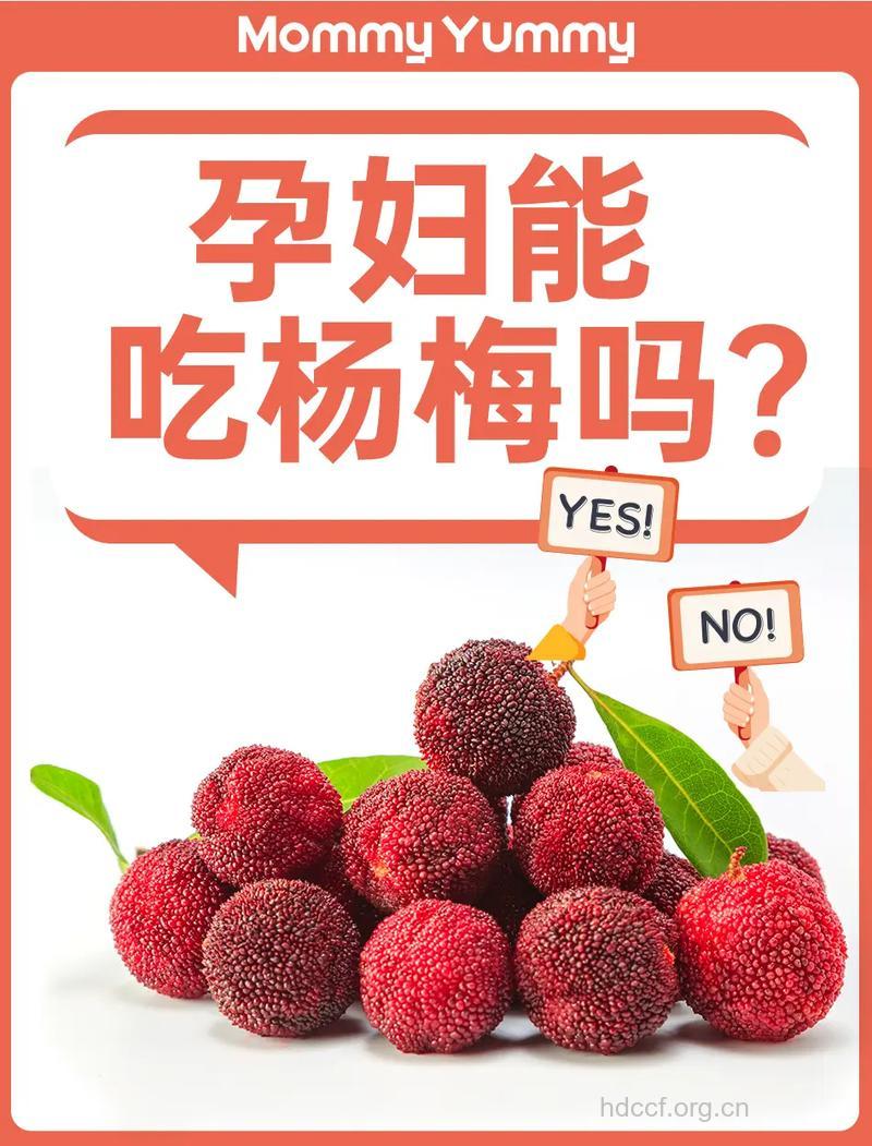 孕妇能不能吃杨梅