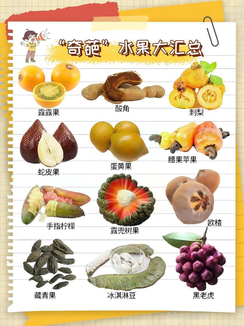 对孕妇有奇效的8种水果