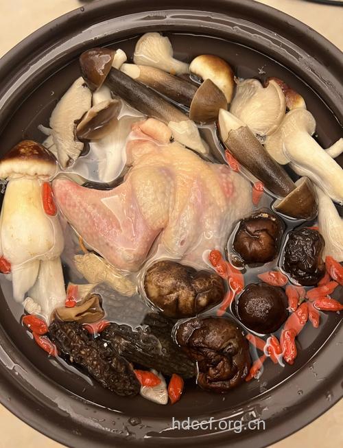 孕妇食谱大全之乳鸽银耳汤