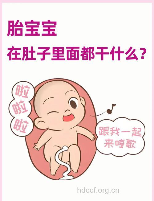 胎宝宝在腹中活动真不少