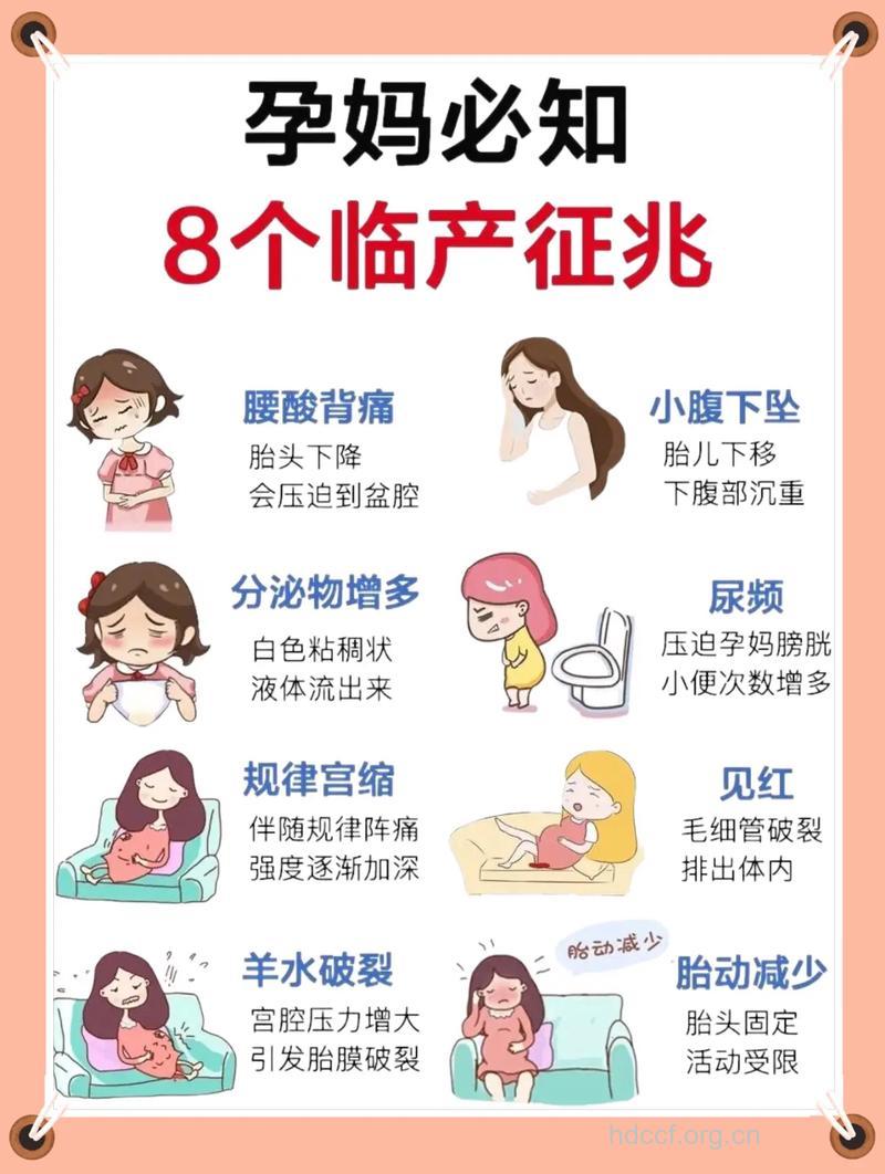 莫急莫慌 真假临产征兆这样分清