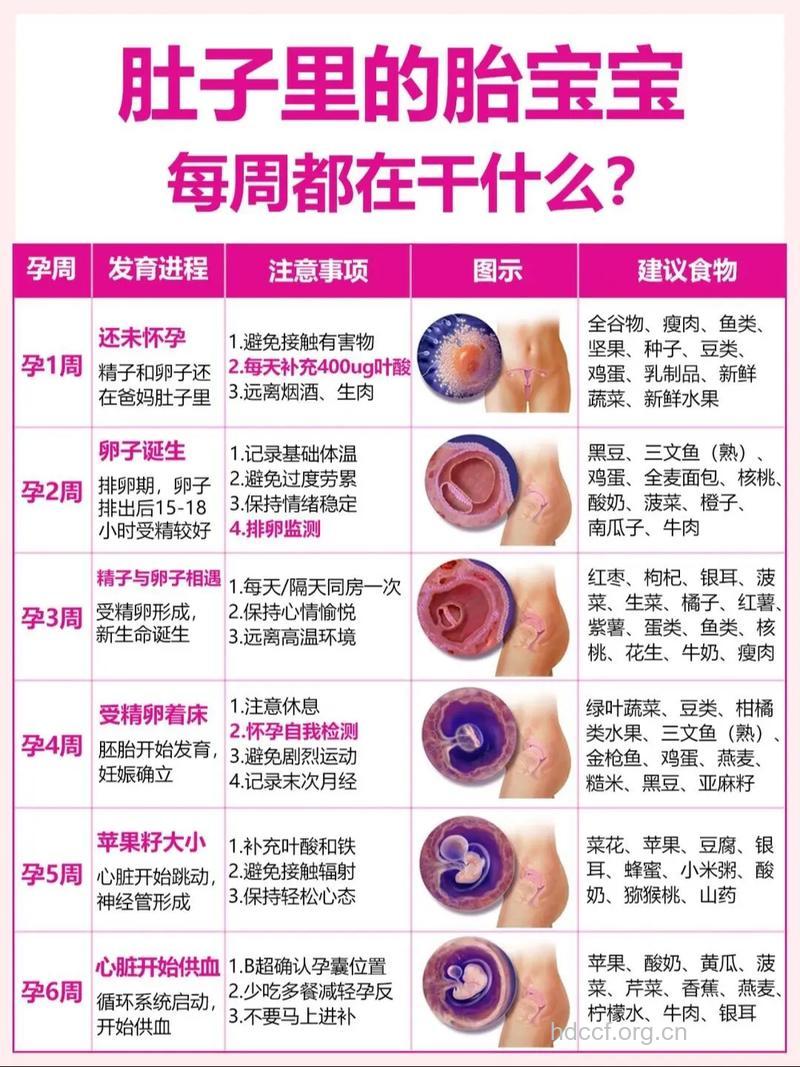 怀孕274天 怀孕40周孕妇注意事项