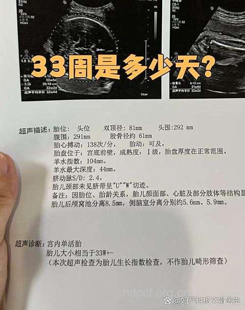 怀孕231天