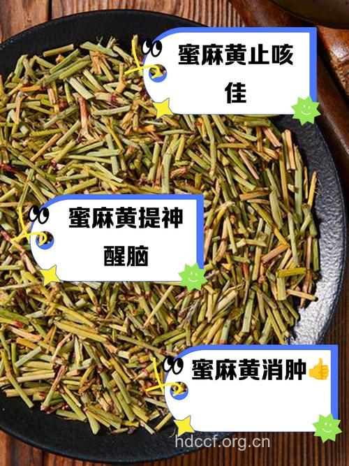 孕妇可以吃麻黄吗