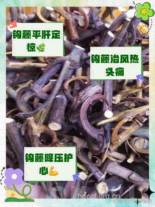 孕妇可以吃钩藤吗