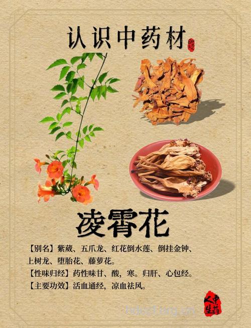 孕妇可以吃凌霄花吗