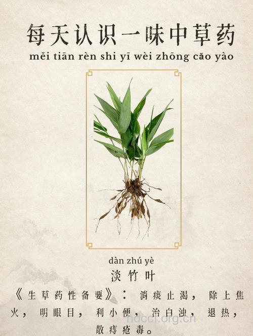 孕妇可以吃淡竹叶吗