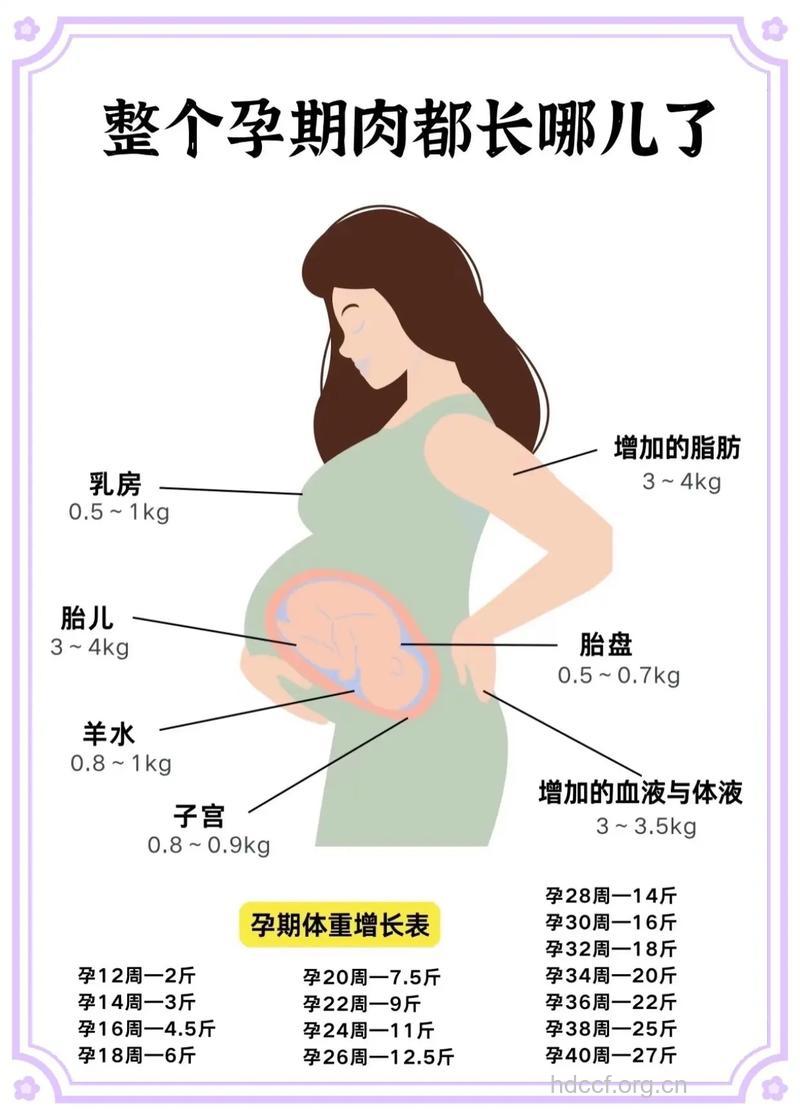 孕期增长过慢是什么原因