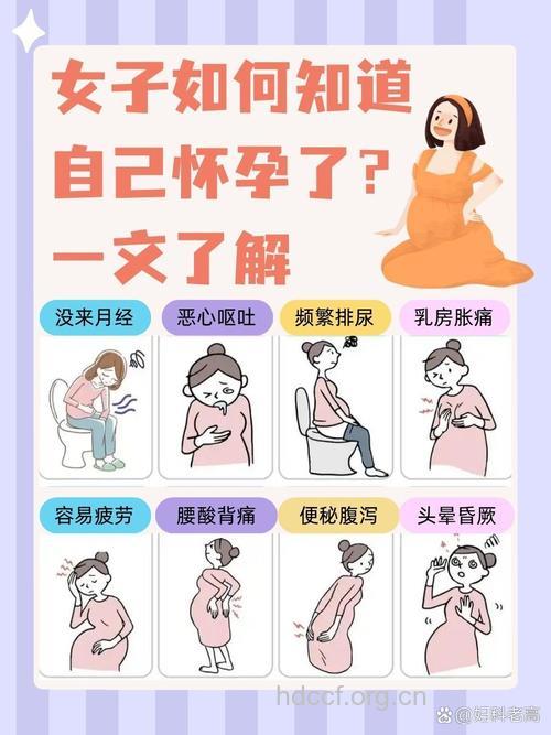 孕妈6大消化问题要重视