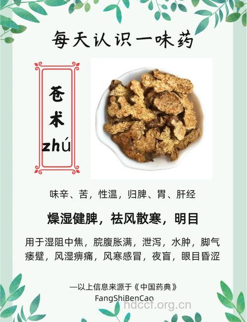 孕妇可以吃苍术吗