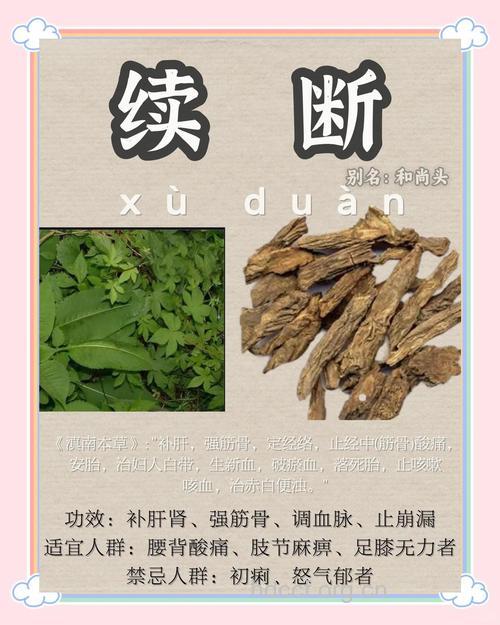 孕妇可以吃续断吗