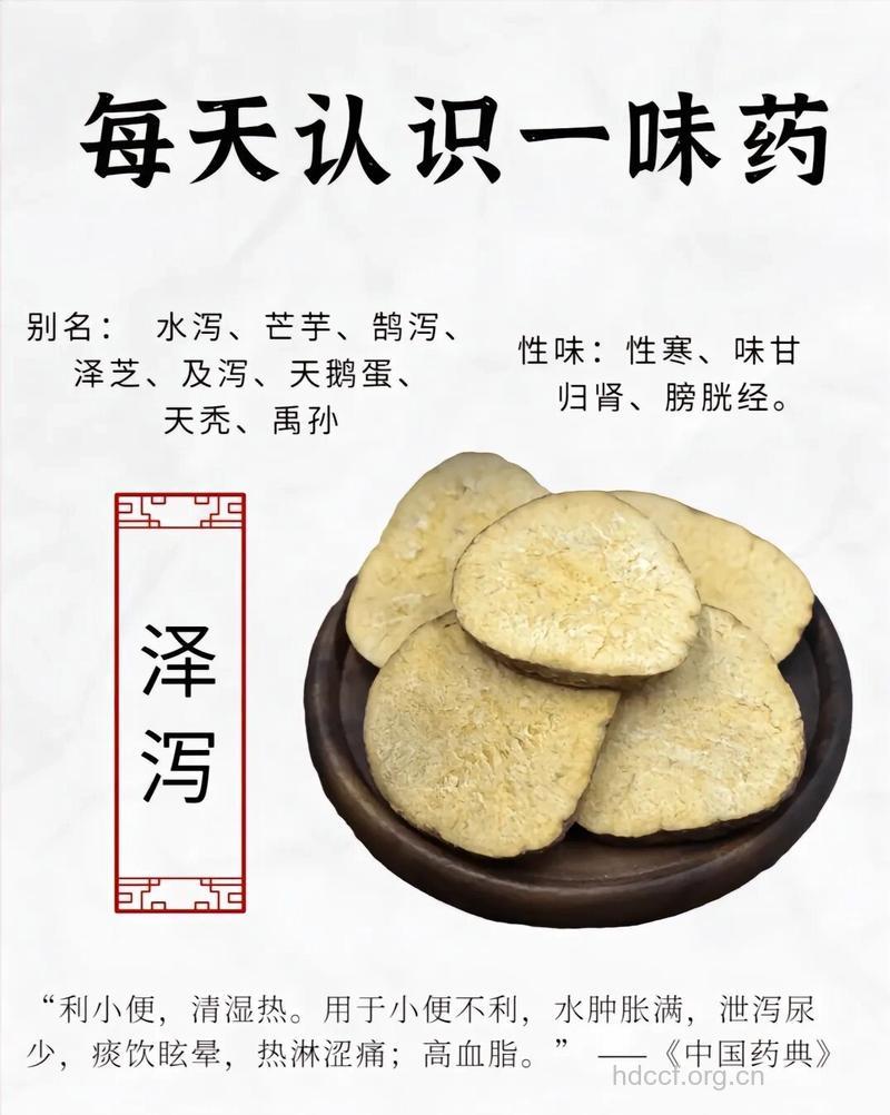 孕妇可以吃泽泻吗