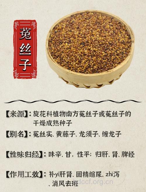 孕妇可以吃菟丝子吗