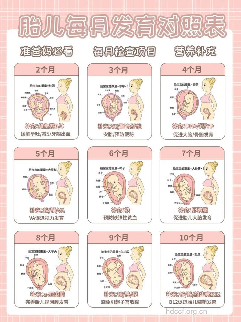 有助胎儿发育的七个最佳