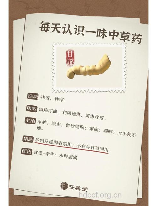 孕妇可以吃甘遂吗