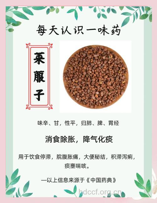 孕妇可以吃莱菔子吗
