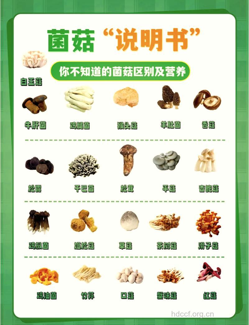 菌类食物营养高 孕妇可以吃吗