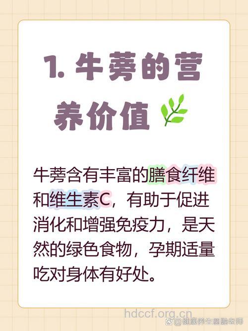 孕妇孕期可以吃牛蒡吗?