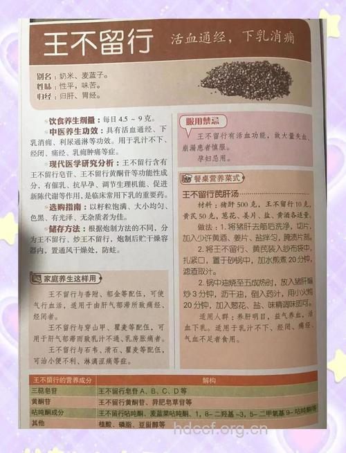 孕妇可以吃王不留行吗