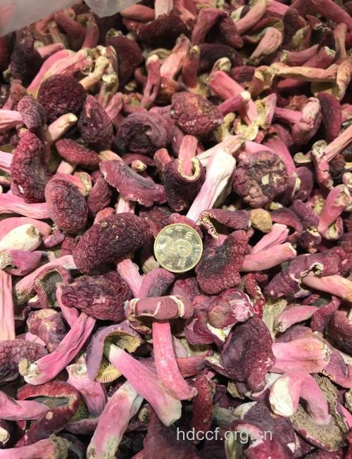 孕期可以吃红菇吗