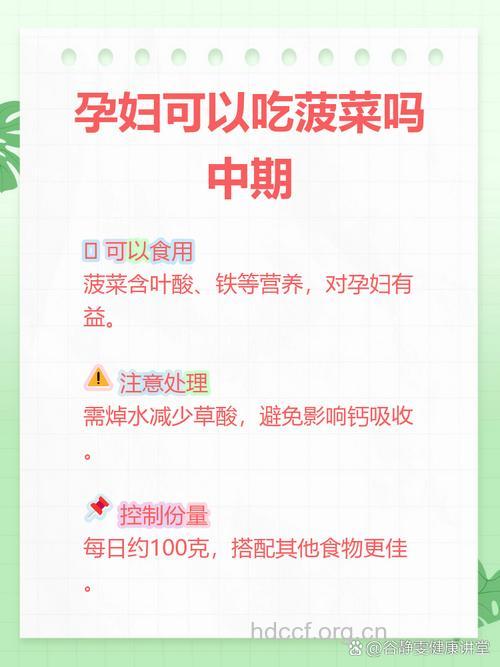 孕妇孕期可以吃菠菜吗