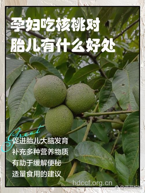 孕妇孕期可以吃核桃吗