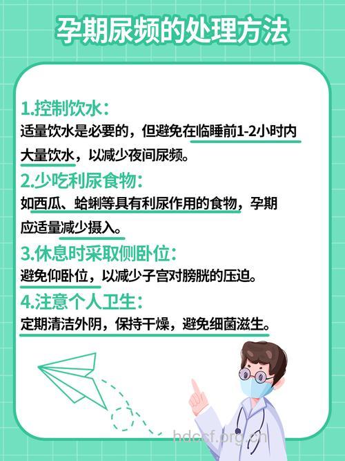 怀孕期尿频的原因是什么