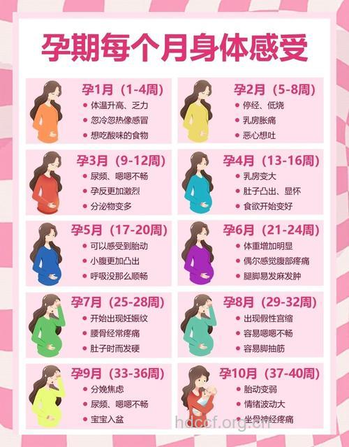 怀孕会遭遇的N种疾病