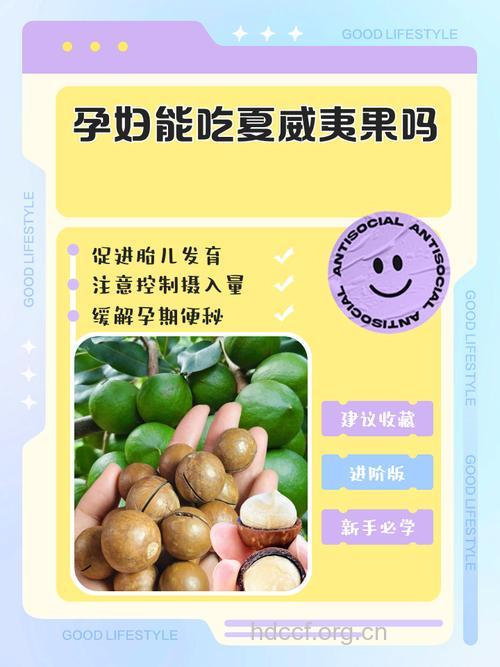 孕妇可以吃夏威夷果吗