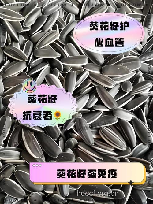 孕妇可以吃葵花籽吗