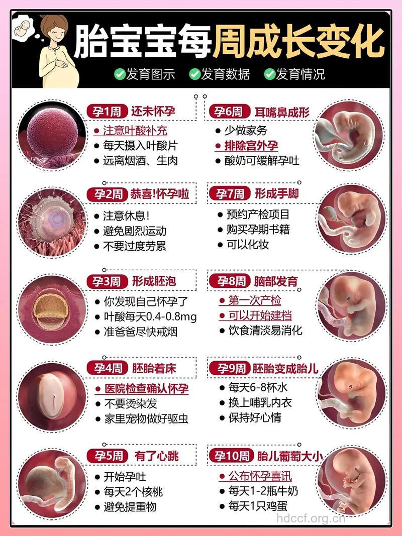 四种影响胎儿生长发育鱼