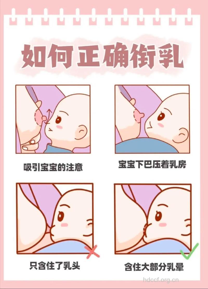 孕妇可以吃奶酪吗