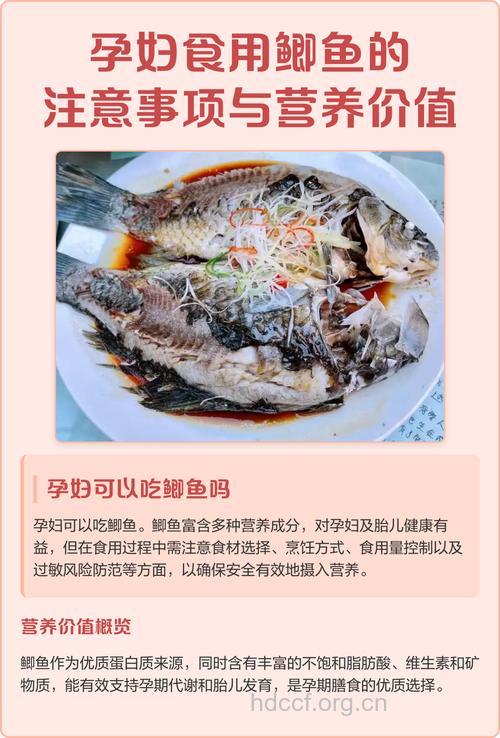 孕妇可以吃鲫鱼吗