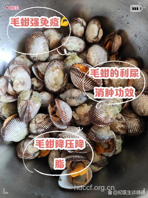 孕妇可以吃毛蚶吗