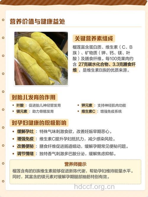 详解孕妇可以吃榴莲吗