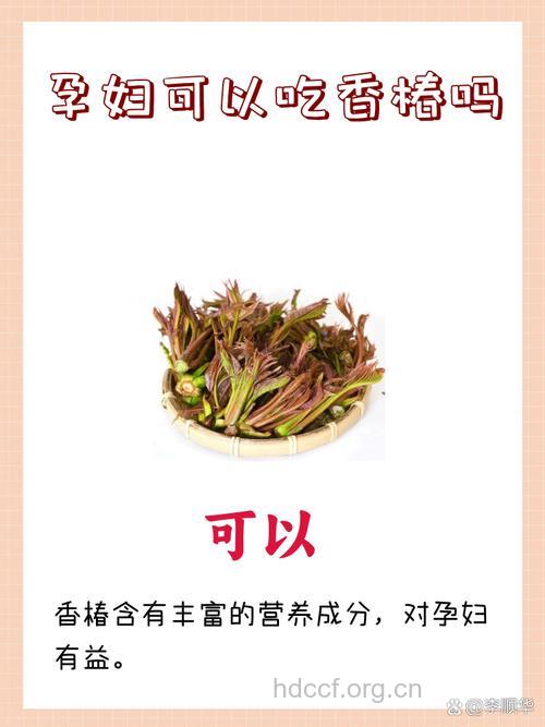 孕妇可以吃香椿吗