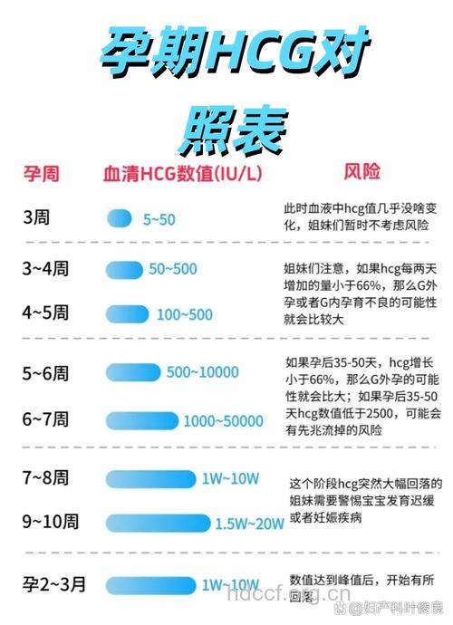 孕早期hcg值多少正常 孕期hcg正常值参考范围