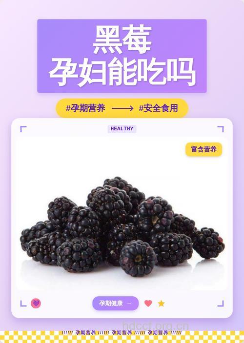 孕妇可以吃黑莓吗