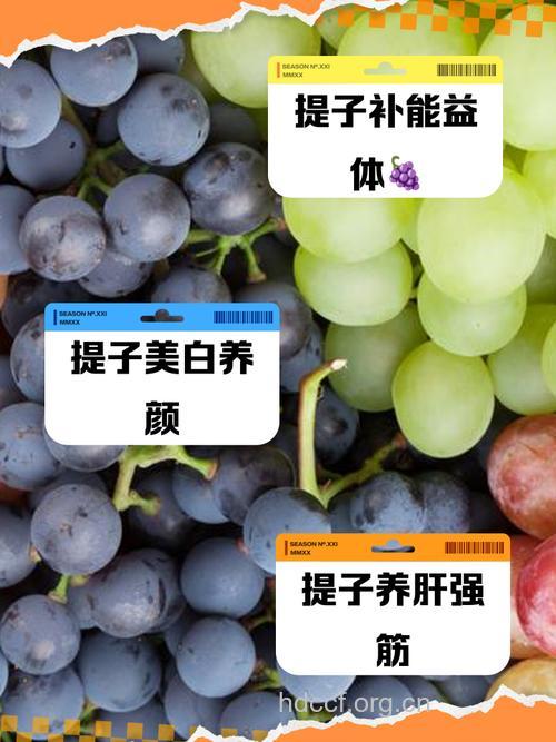 孕妇可以吃提子吗