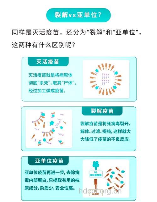 怎么给孩子选择流感疫苗