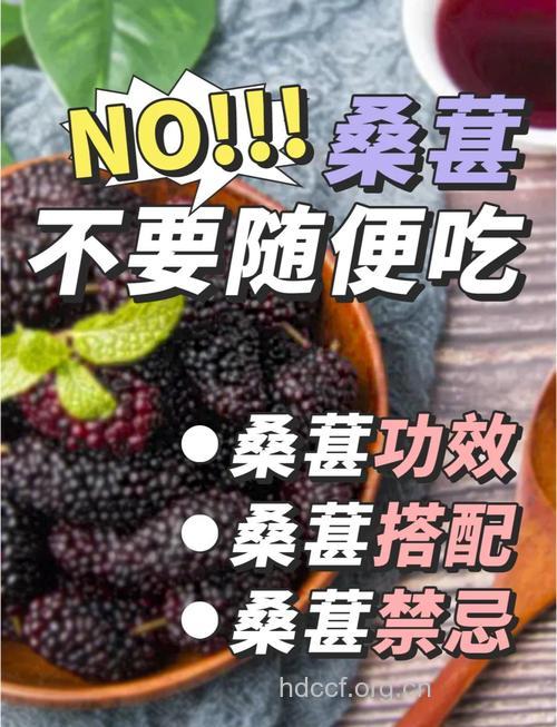 孕妇可以吃桑葚吗