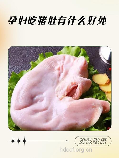 孕妇可以吃猪肚吗