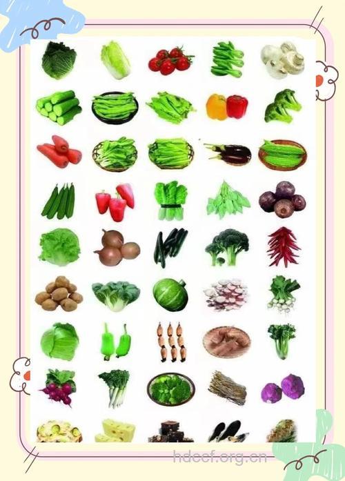 日常孕妇吃什么蔬菜好