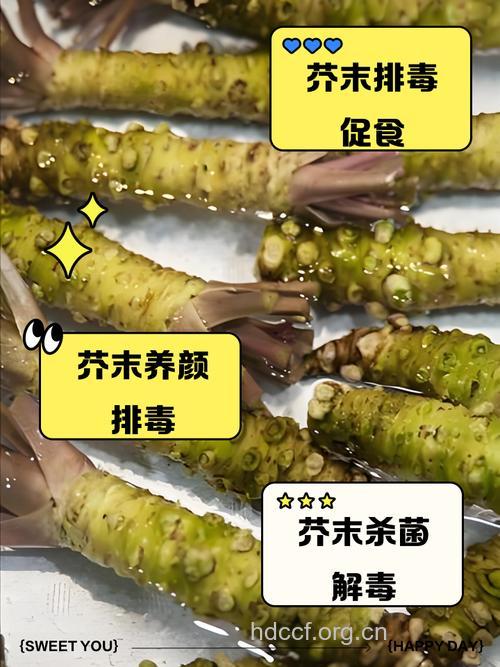 孕妇可以吃芥末吗